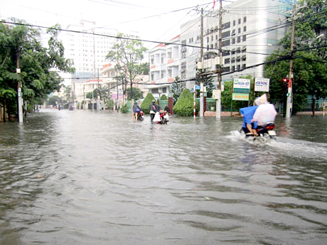 Triều[-]cường[-]gây[-]ngập[-]toàn[-]tuyến[-]ven[-]biển[-]Cà[-]Mau
